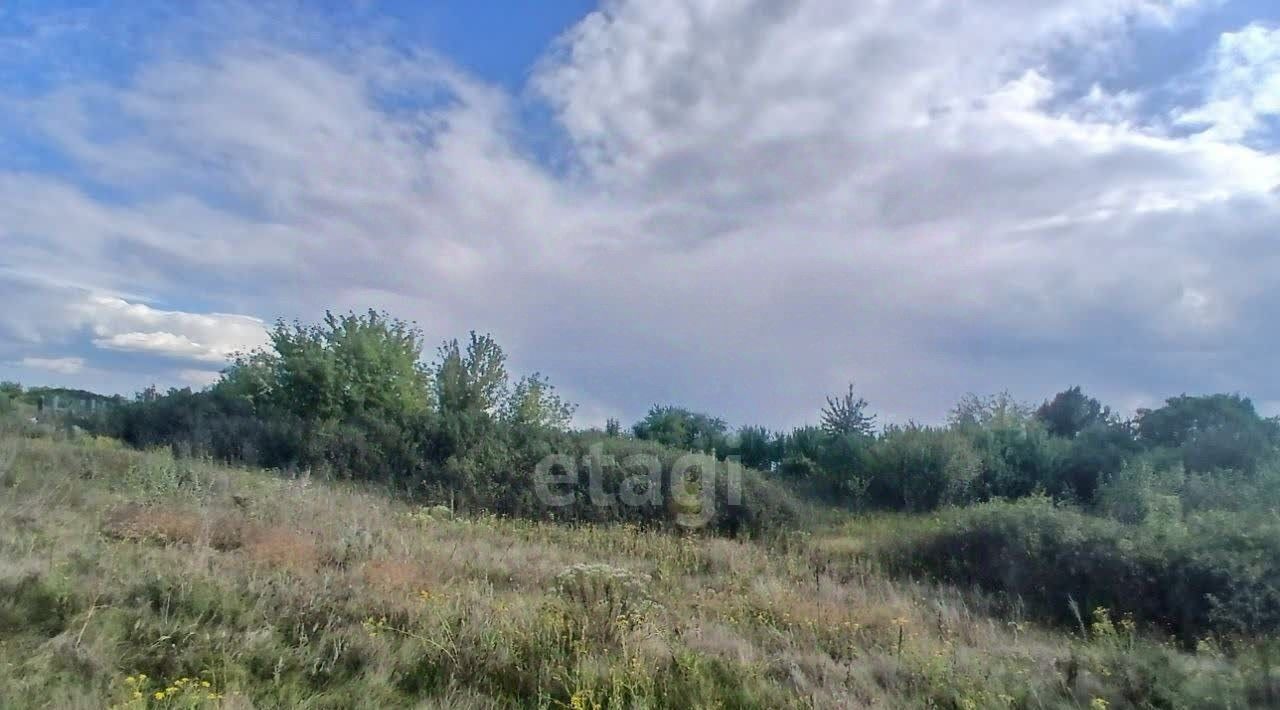 земля р-н Валуйский с Шелаево ул Заречная фото 16