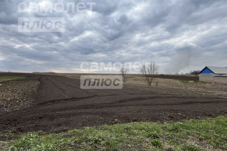 земля р-н Октябрьский с Дьяконово ул Магистральная 45 фото 1