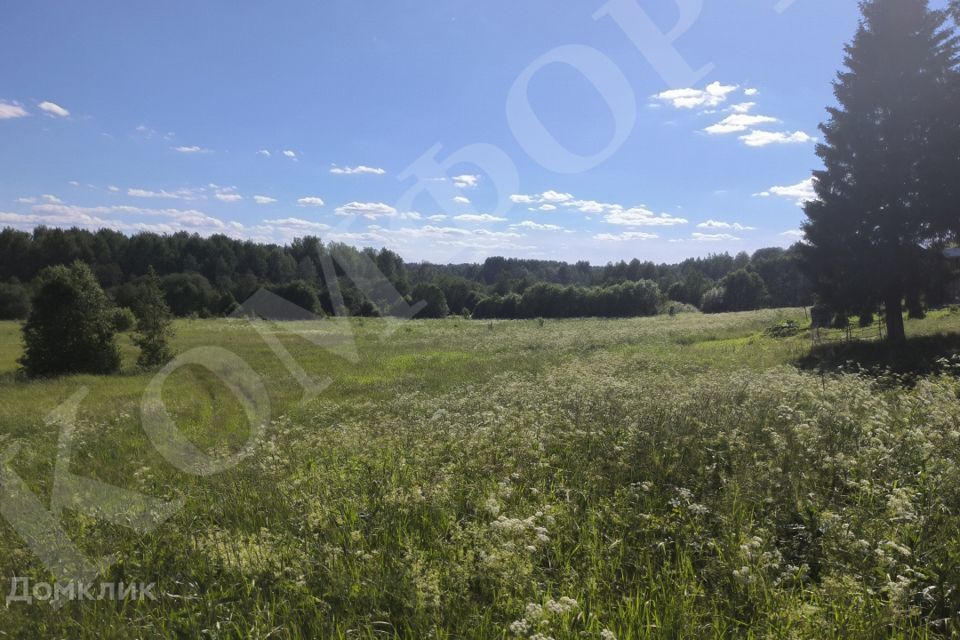 земля р-н Вологодский деревня Сестрилка фото 4