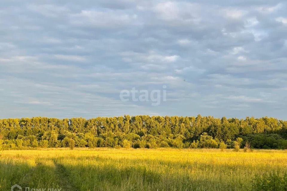 земля р-н Знаменский деревня Михайловка фото 3