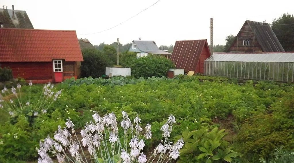 дом р-н Киришский д Могилево ул Набережная Будогощское городское поселение фото 3