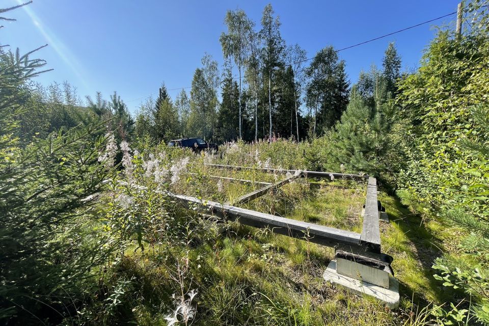 земля р-н Приозерский садовое товарищество Нептун фото 9