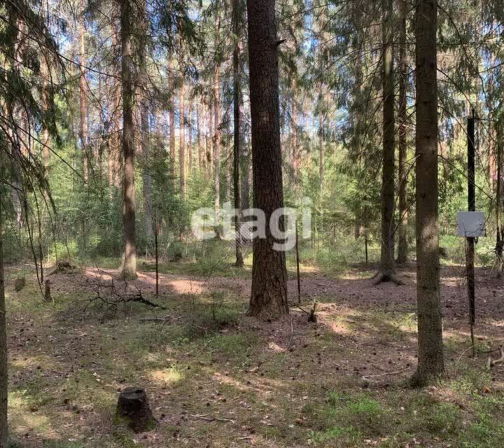 земля р-н Гатчинский городской посёлок Вырица фото 3