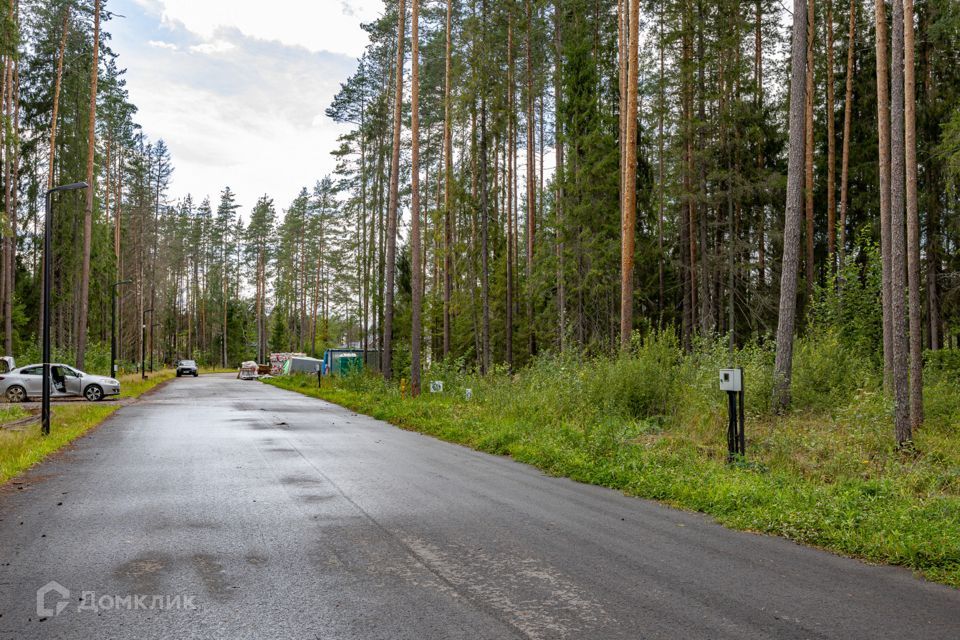 земля р-н Выборгский городской посёлок Рощино фото 9