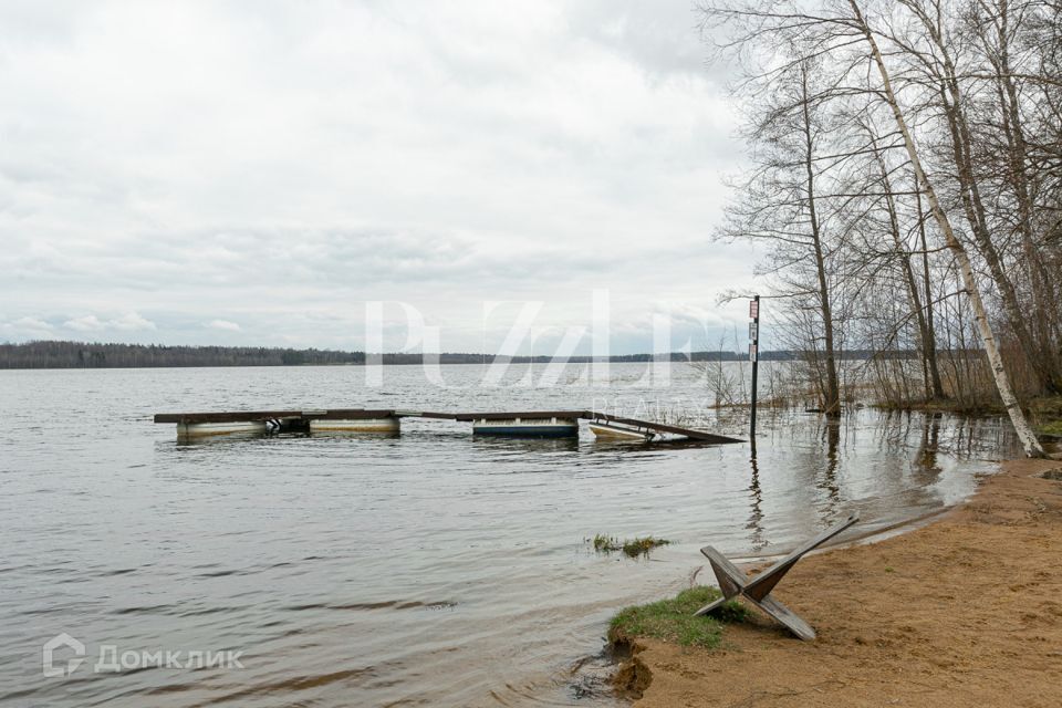 земля р-н Приозерский фото 4