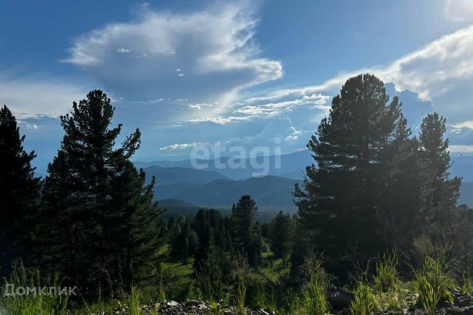 земля р-н Чемальский село Чемал фото 1