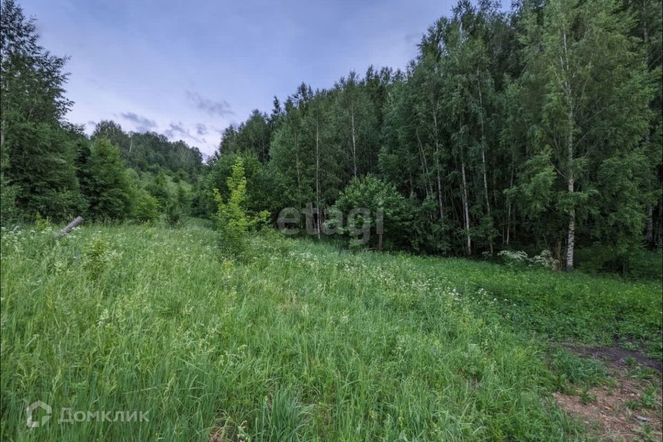 земля г Горно-Алтайск городской округ Горно-Алтайск, Медицинский городок Эмчилик Кала фото 2