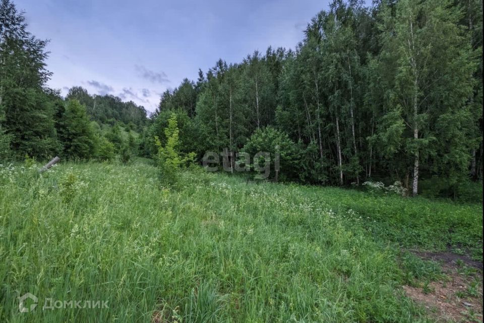 земля г Горно-Алтайск городской округ Горно-Алтайск, Медицинский городок Эмчилик Кала фото 4