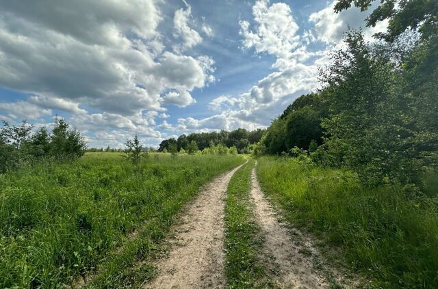 4 км, Барвиха, Рублёво-Успенское шоссе фото