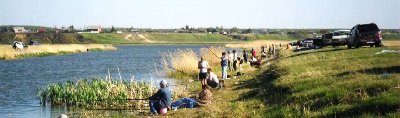 земля р-н Омский с Надеждино ул Рождественская фото 7