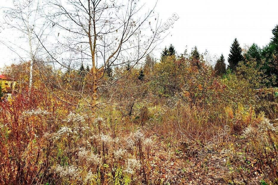 земля городской округ Одинцовский д Бузаево Одинцово, коттеджный посёлок Бузаево фото 4