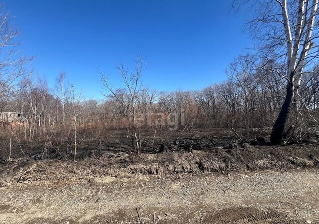 Вольно-Надеждинское фото