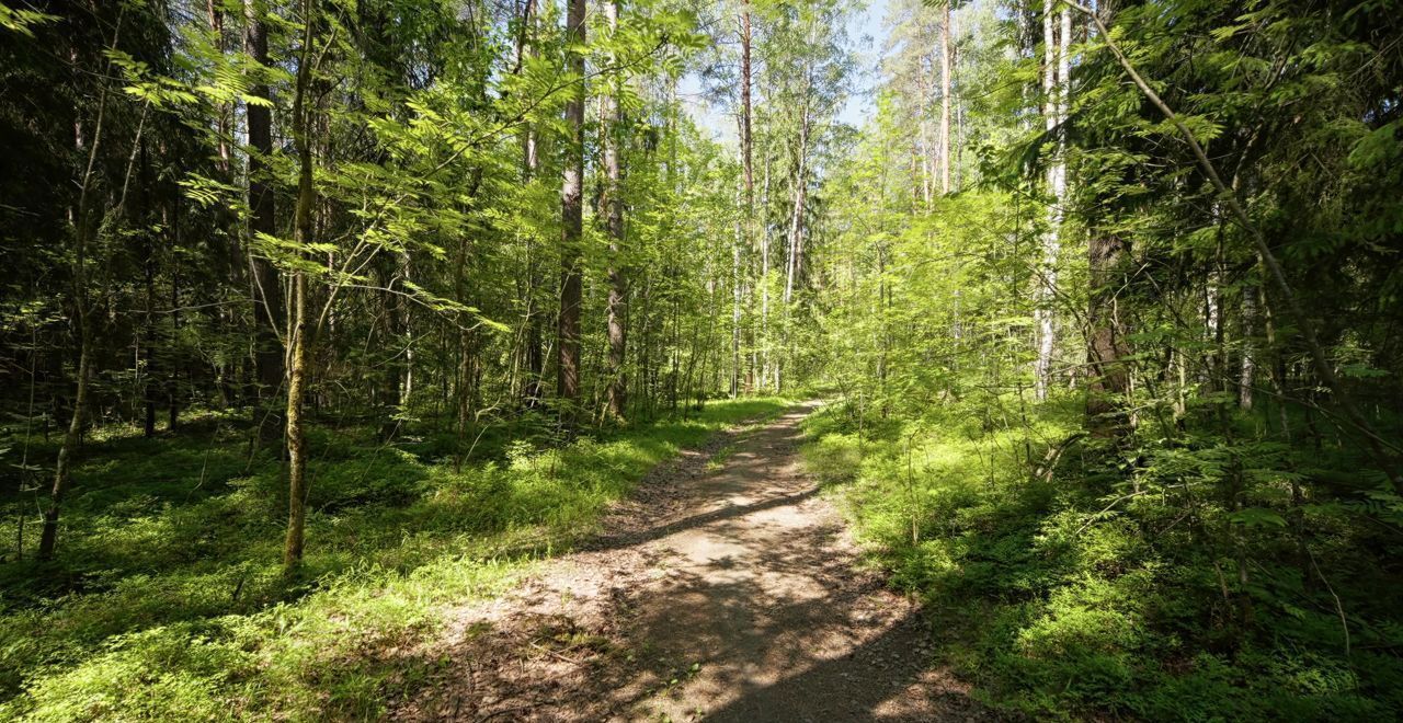 земля г Санкт-Петербург п Левашово Горское шоссе, 3 км фото 20