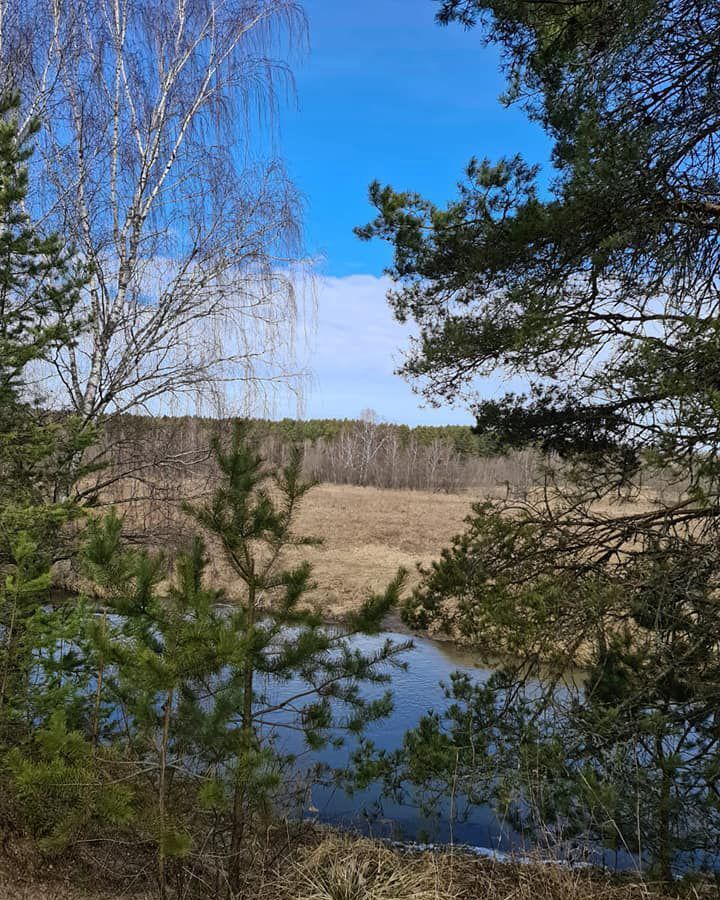 дом р-н Александровский д Афонасово Ярославское шоссе, 6 км, Карабаново фото 21