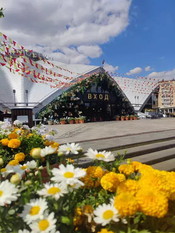 квартира г Москва метро Серпуховская ул Дубининская 65 к 3, Московская область фото 14