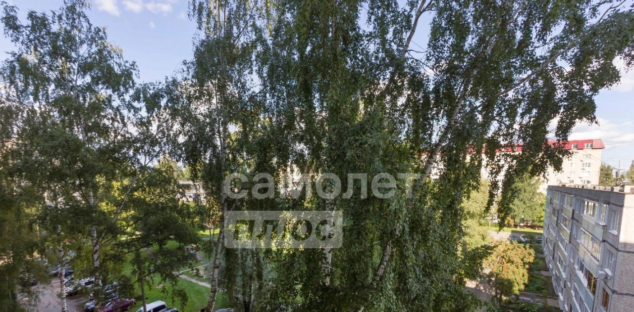 квартира г Владимир р-н Фрунзенский ул Растопчина 55а фото 19