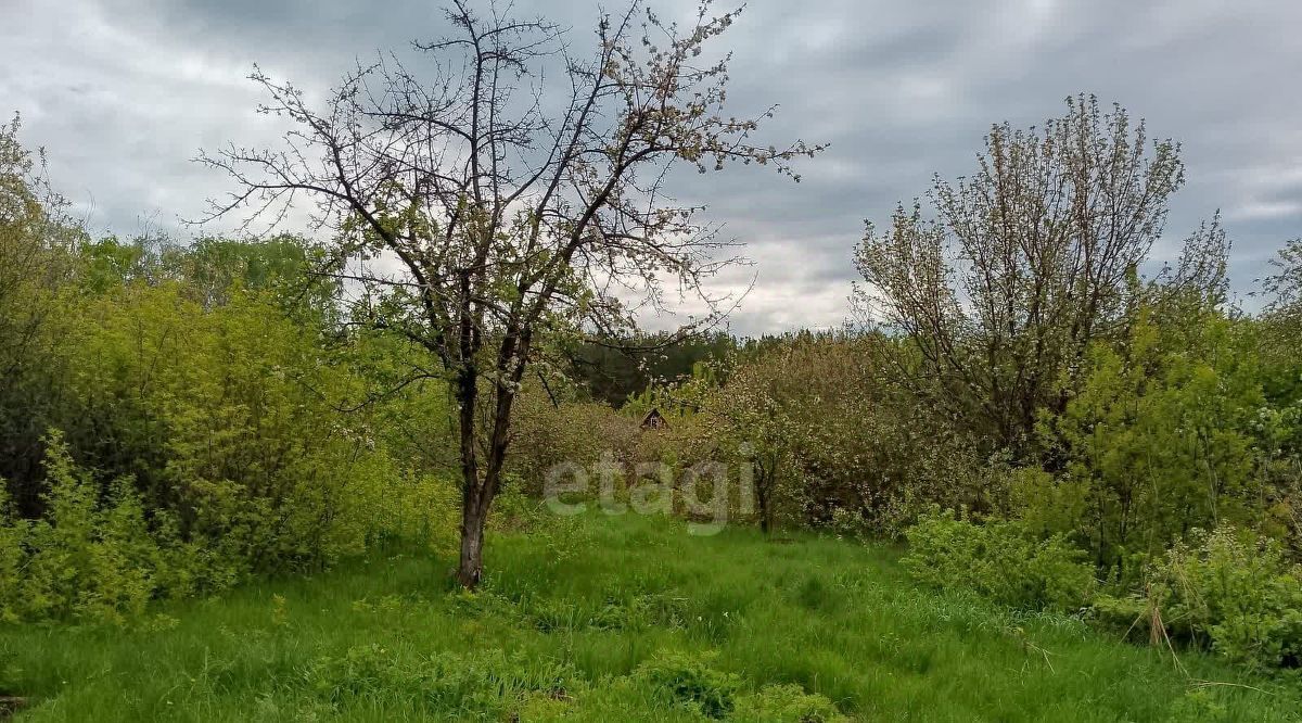 дом г Южноуральск снт Ремонтник ул Виноградная фото 8