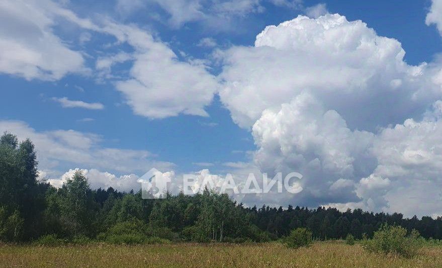 земля городской округ Раменский д Меткомелино снт Полесье ул Цветочная ДНП фото 2