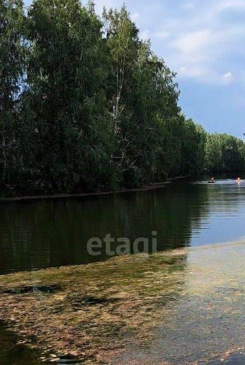 земля р-н Новосибирский п Воробьевский снт Реестр сельсовет, ДНТ, Кудряшовский фото 1