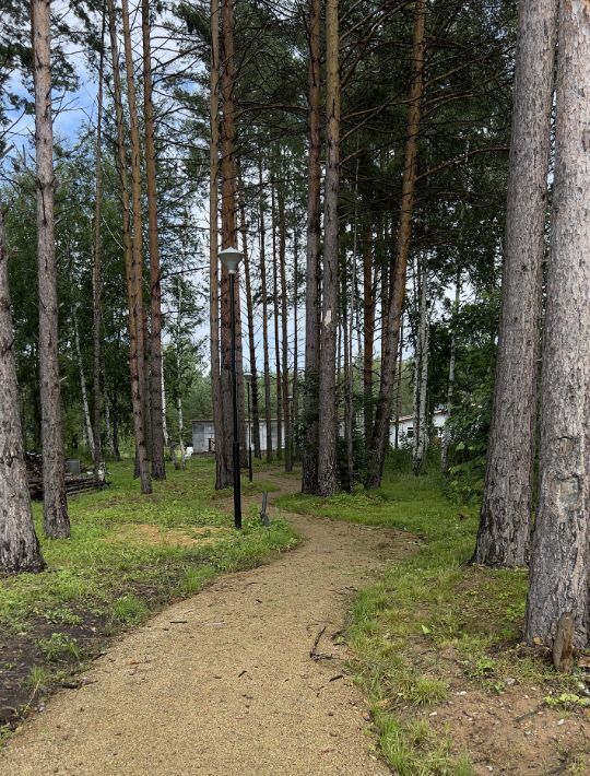 земля р-н Сысертский дп Заповедник ул. Центральная фото 2