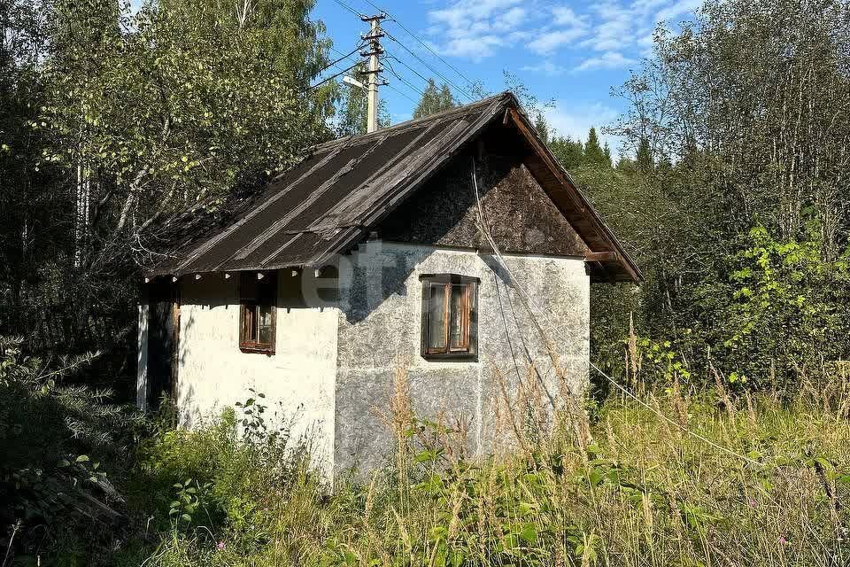 земля городской округ Дмитровский СТ Строитель-3 фото 4