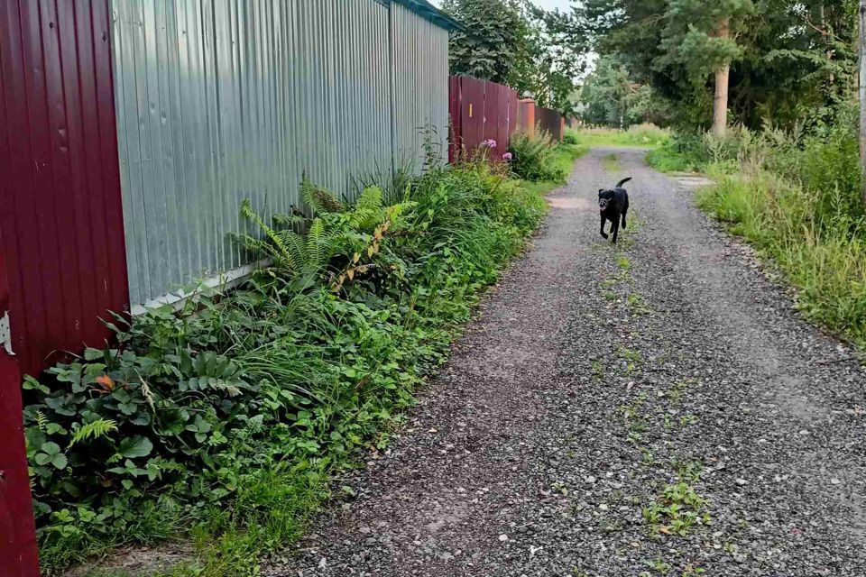 земля городской округ Раменский фото 2