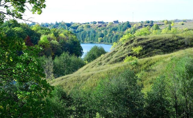 земля Боринское фото