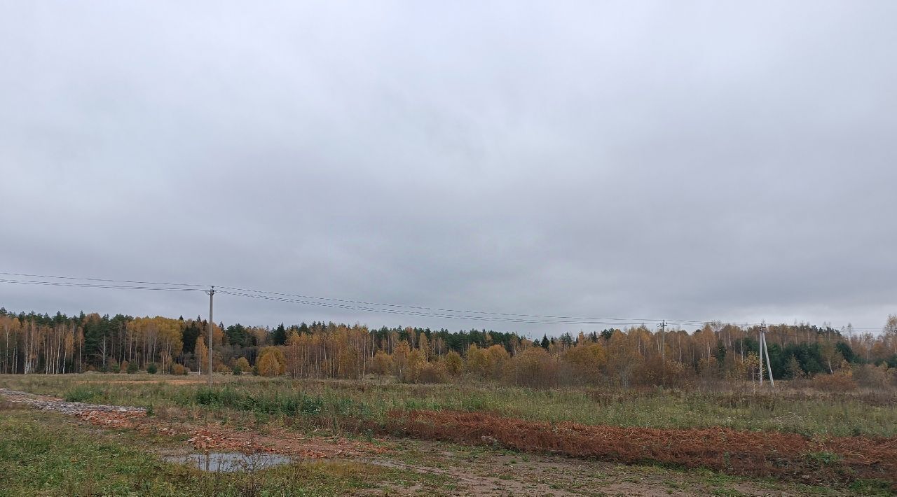 земля р-н Новгородский д Сопки ул Береговая Савинское с/пос фото 3