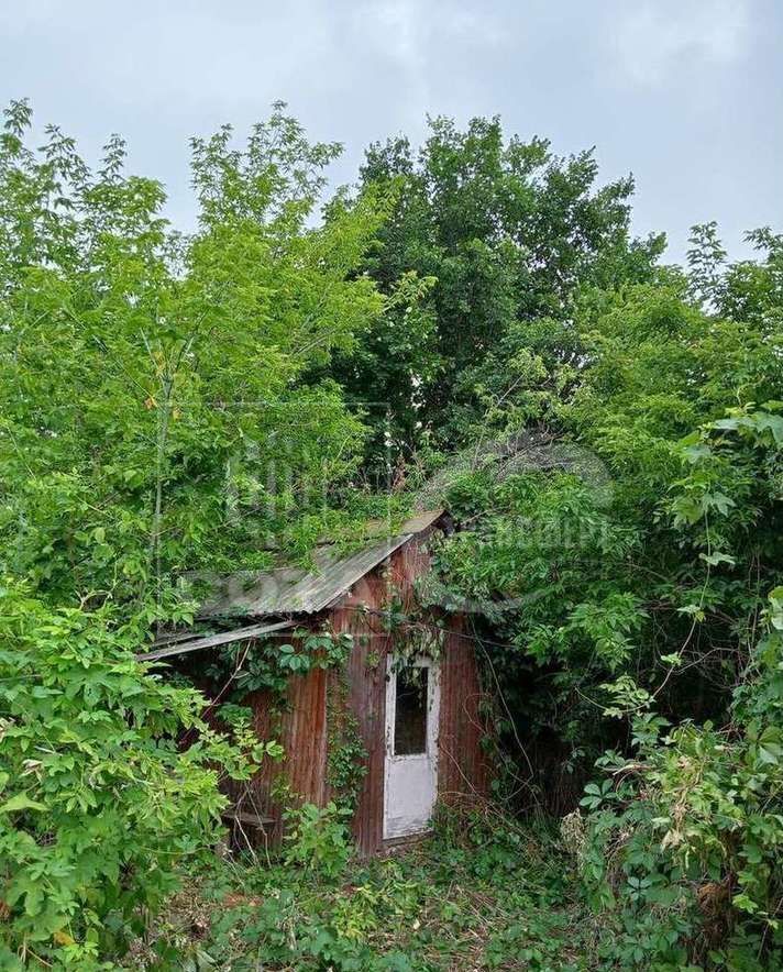 дом р-н Новоусманский п Волна-Шепелиновка Хреновское сельское поселение, 24, Новая Усмань фото 27