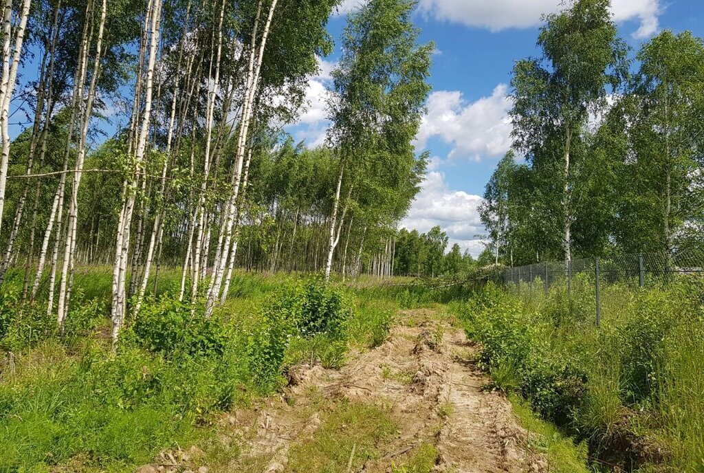 земля городской округ Дмитровский д Капорки Лобня фото 2