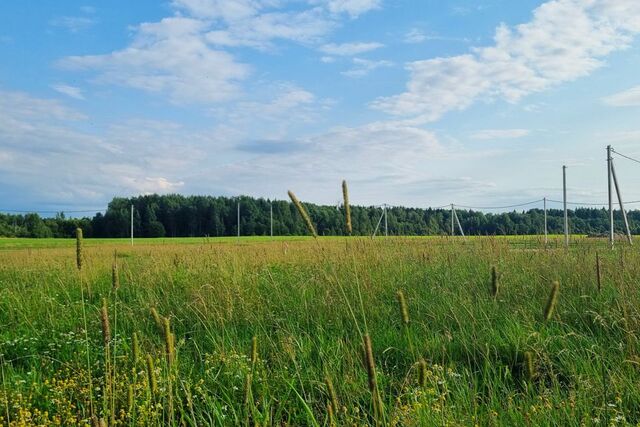 п Левашово Выборгский, Строящееся здание фото