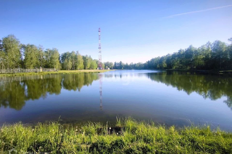 земля городской округ Богородский г Ногинск снт тер.Алешинские сады 15-я улица фото 9