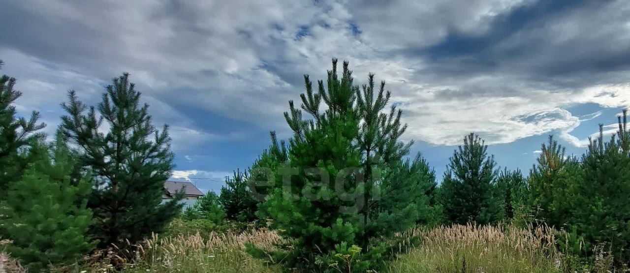 земля р-н Тюменский с Каменка Подушкино ДНТ фото 13