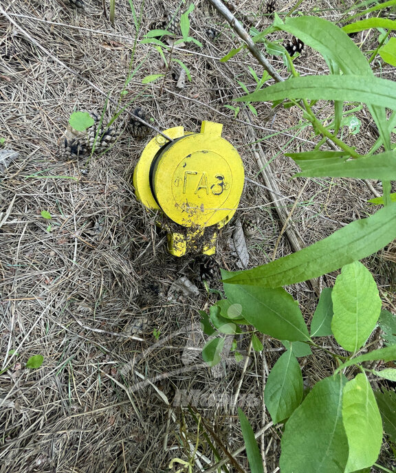 дом городской округ Солнечногорск д Миронцево снт Миронцево фото 19