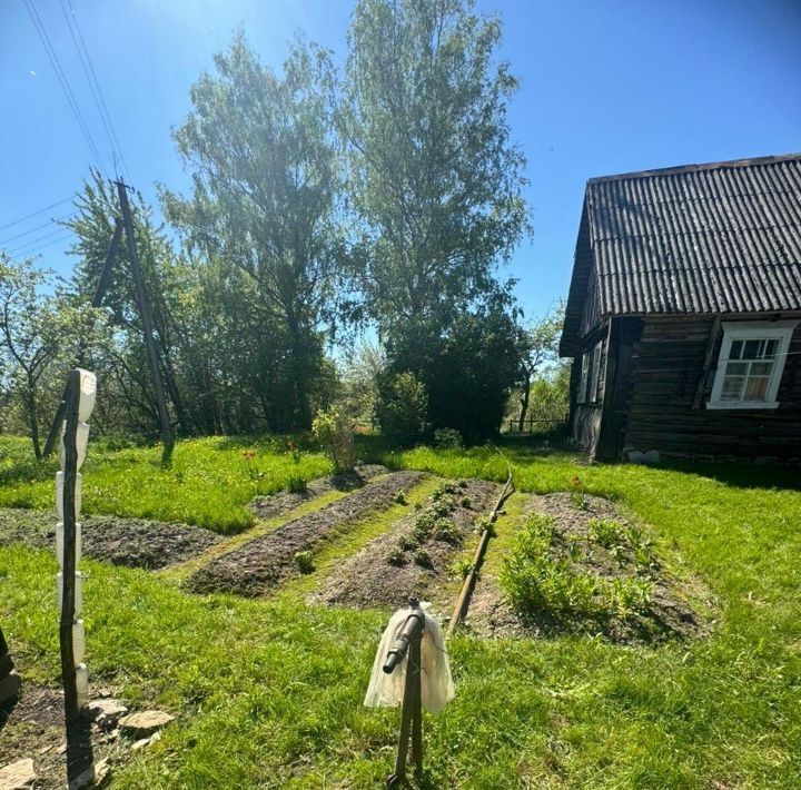 дом р-н Псковский д Тянутово Ядровская волость фото 18