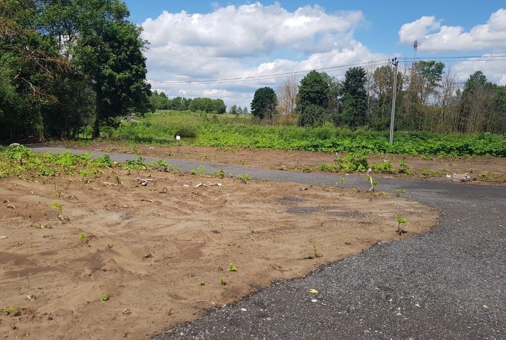 земля городской округ Клин д Золино ул Цветочная фото 26