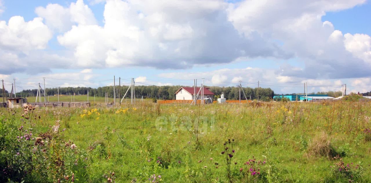 земля р-н Сосновский с Кайгородово ул Светлая Алишевское с/пос, Романовское Поместье кп фото 7