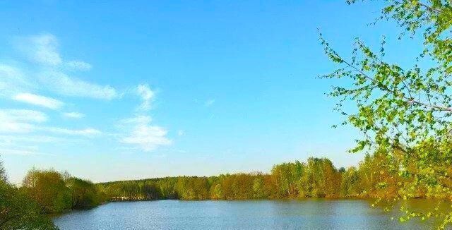 дом городской округ Чехов д Оксино тер ДНТ Соколиная гора фото 1