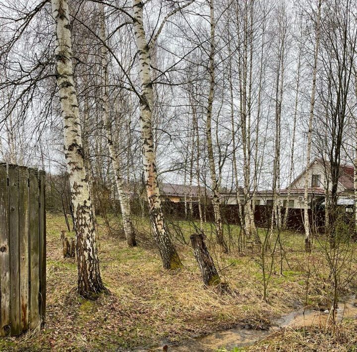 земля городской округ Клин д Третьяково снт Третьяково 192 фото 4