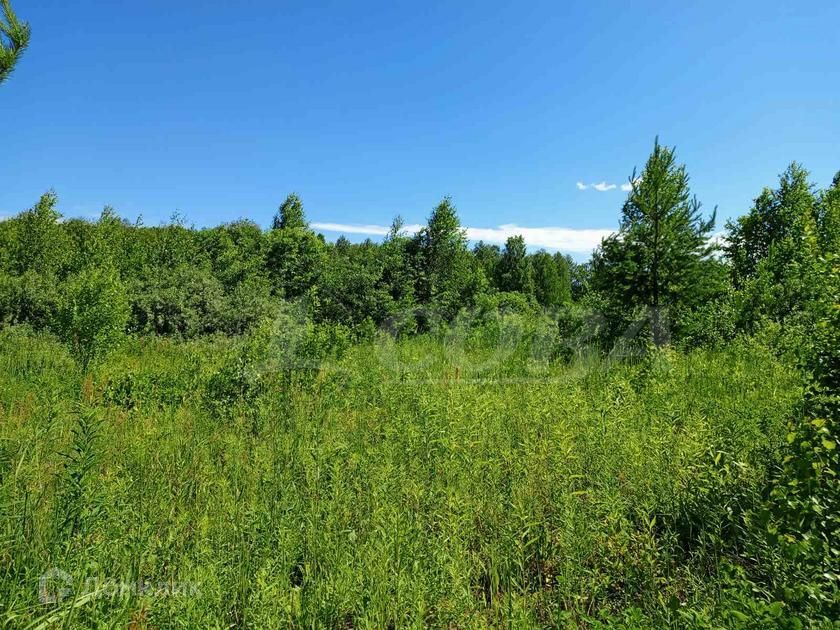 земля р-н Нижнетавдинский фото 1