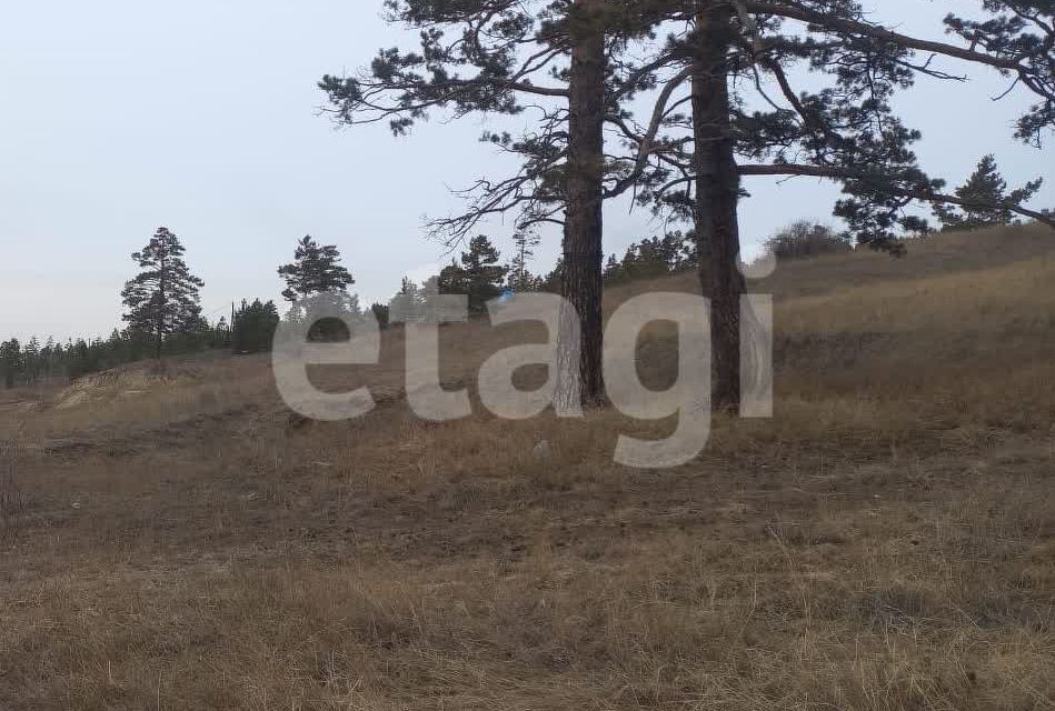 земля р-н Тарбагатайский село Нижний Саянтуй фото 3