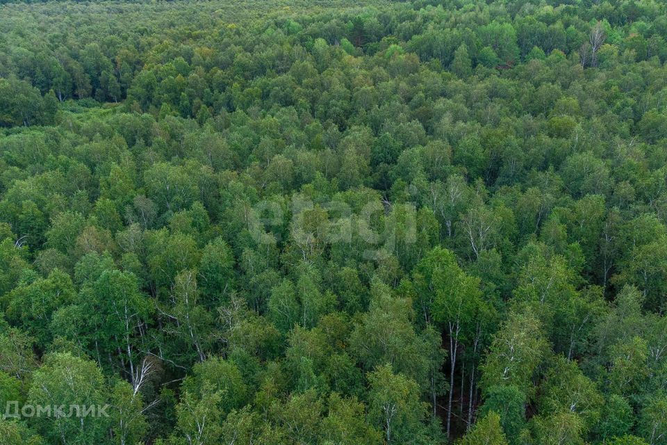 земля г Тюмень снт Светлячок городской округ Тюмень, 2-я улица фото 3