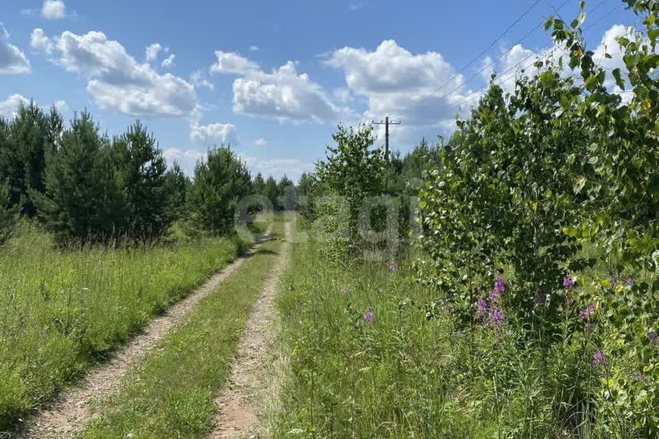 земля р-н Емельяновский СНТ Ясная поляна фото 2