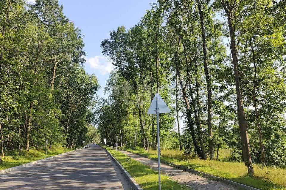 земля р-н Гурьевский п Голубево ул Смоленская фото 2