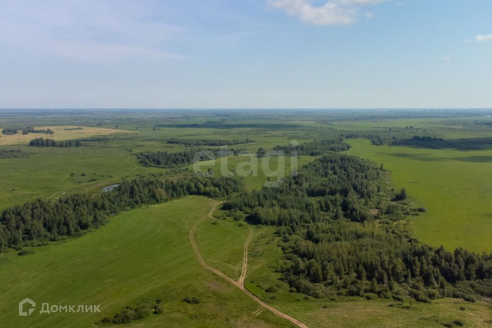 земля р-н Тюменский деревня Якуши фото 4