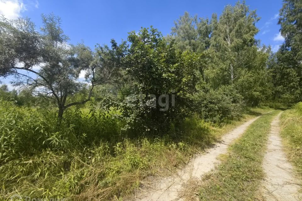 земля городской округ Бердск, Бердск фото 3