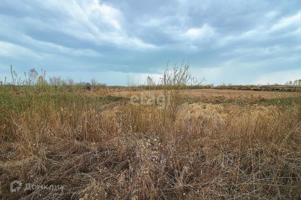 земля р-н Нижнетавдинский село Средние Тарманы фото 8