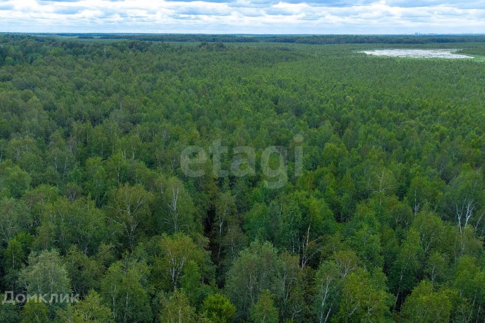 земля г Тюмень снт Светлячок городской округ Тюмень, 2-я улица фото 5