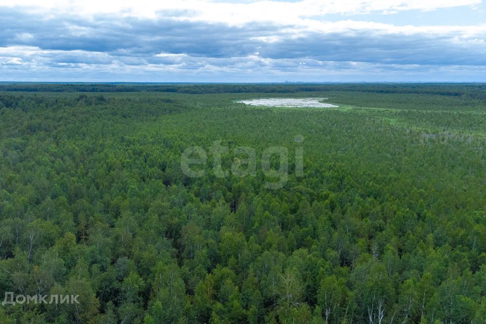 земля г Тюмень снт Светлячок городской округ Тюмень, 2-я улица фото 6