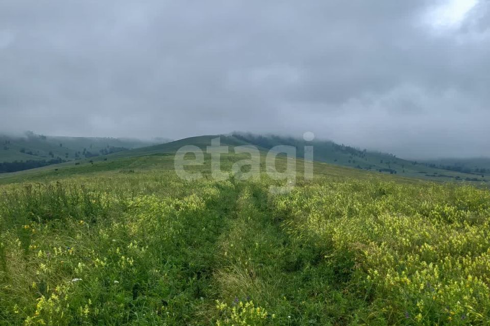 земля р-н Алтайский фото 8